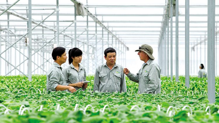 Hợp tác xã nông nghiệp Việt Nam