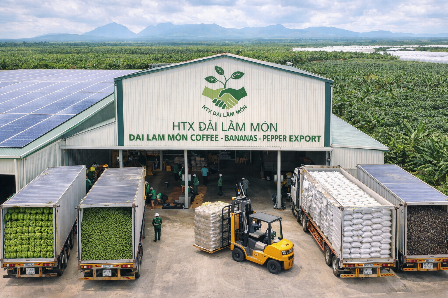 Đại Lâm Môn cà phê – chuối – tiêu