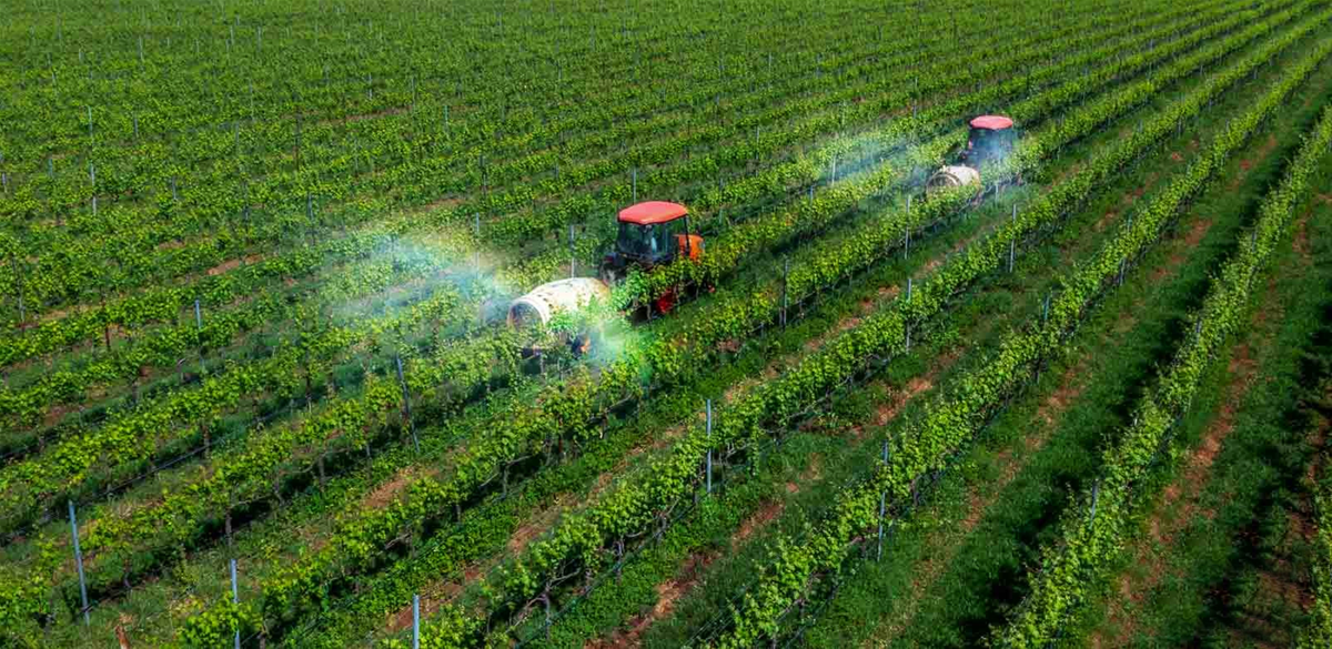 Phát Triển Dịch Vụ Nông Nghiệp Tại Đại Lâm Môn