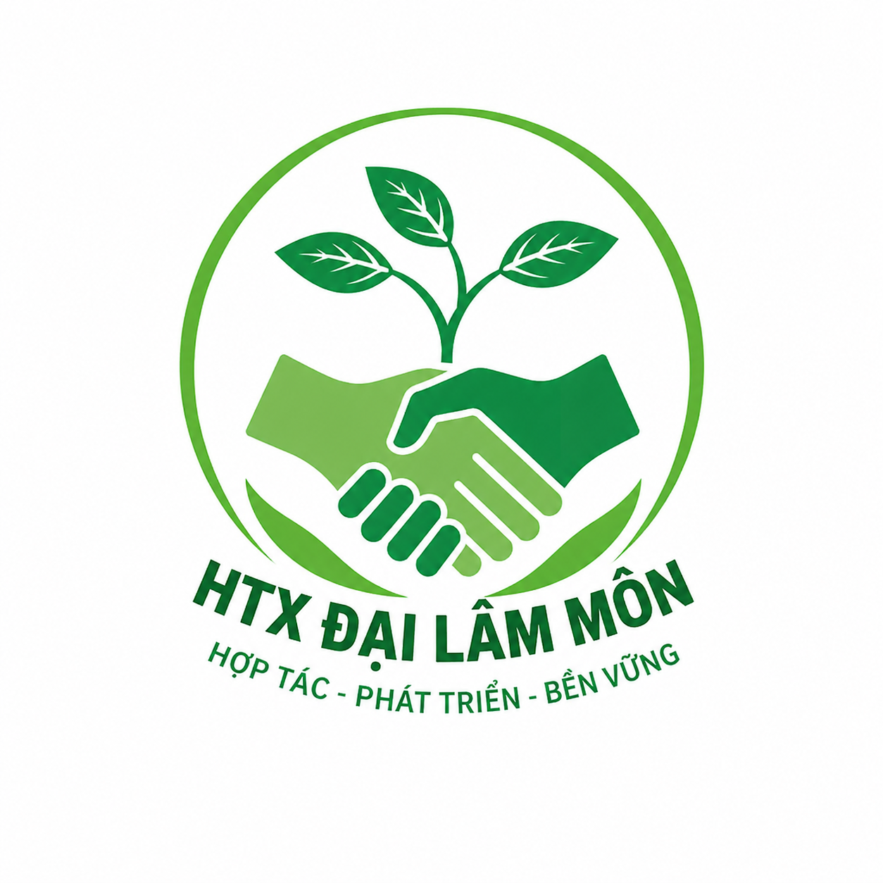 Đại Lâm Môn Là Gì? Phân Biệt Hợp Tác Xã Hay Doanh Nghiệp Rõ Ràng