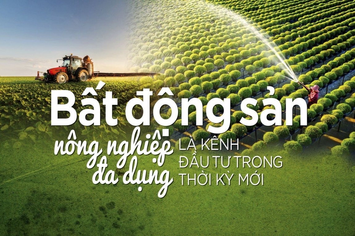 Giang Nam Group Hoạt Động Ở Những Lĩnh Vực Nào? Nông Nghiệp, BĐS & Xuất Nhập Khẩu