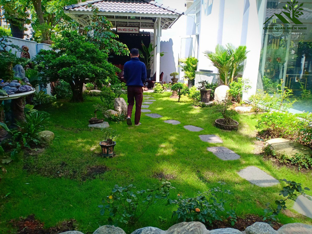 Cây Trồng Sân Vườn Dễ Chăm Sóc: Top 10 Loại Đẹp, Ít Tốn Công